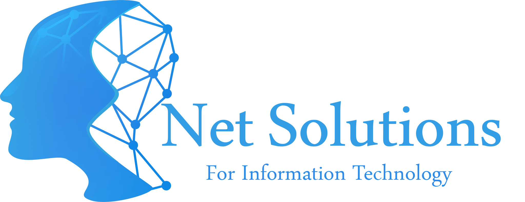 Net Solutions